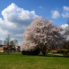 Kurpark in Bad Hersfeld