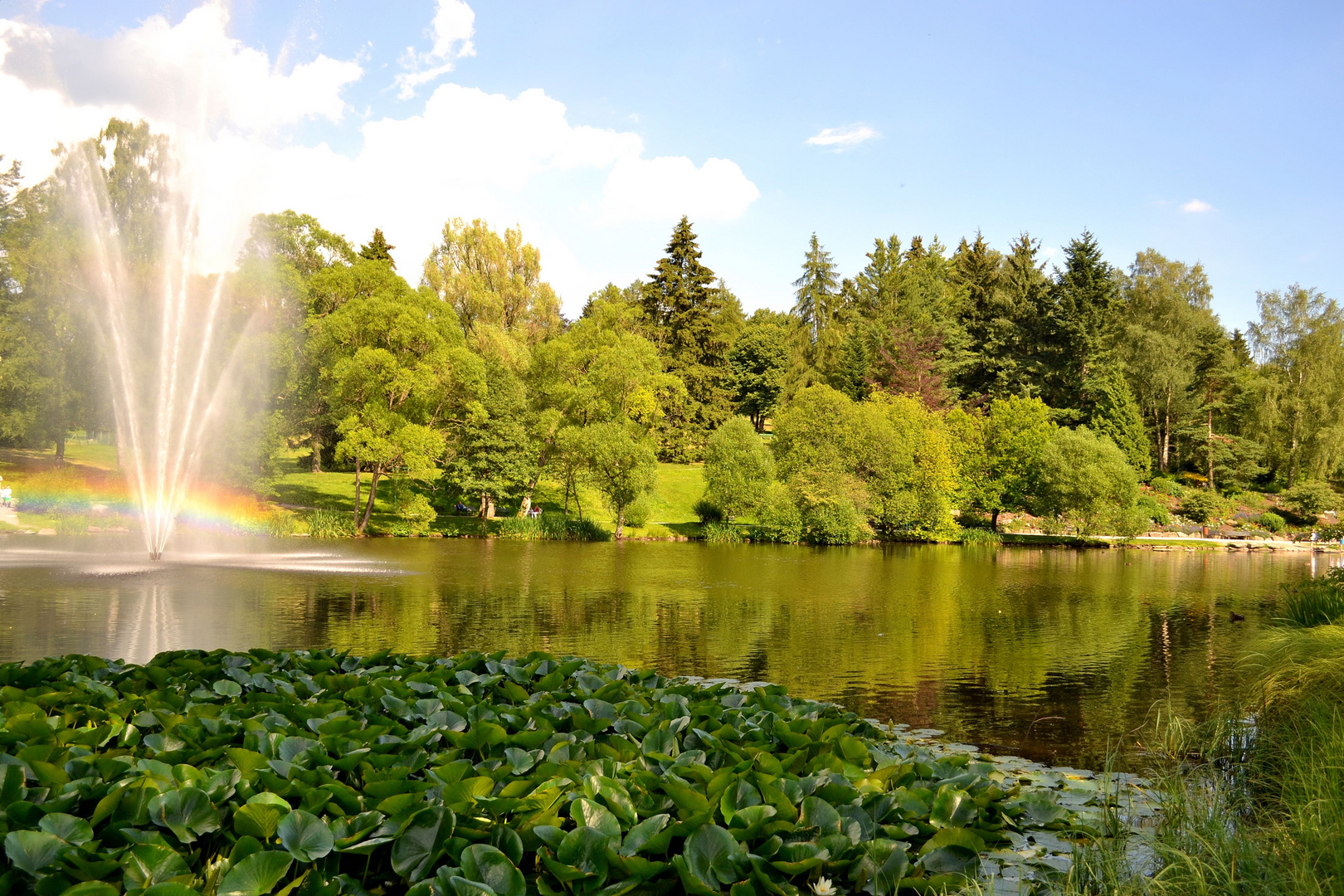 Kurpark in Braunlage