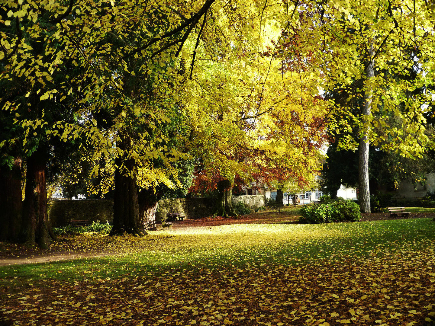 Kurpark in Sulzburg