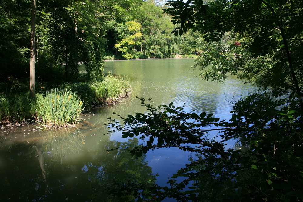 Kurpark in Wien 2