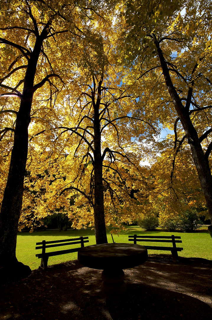 Kurpark Mittenwald im Herbst