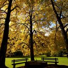 Kurpark Mittenwald im Herbst