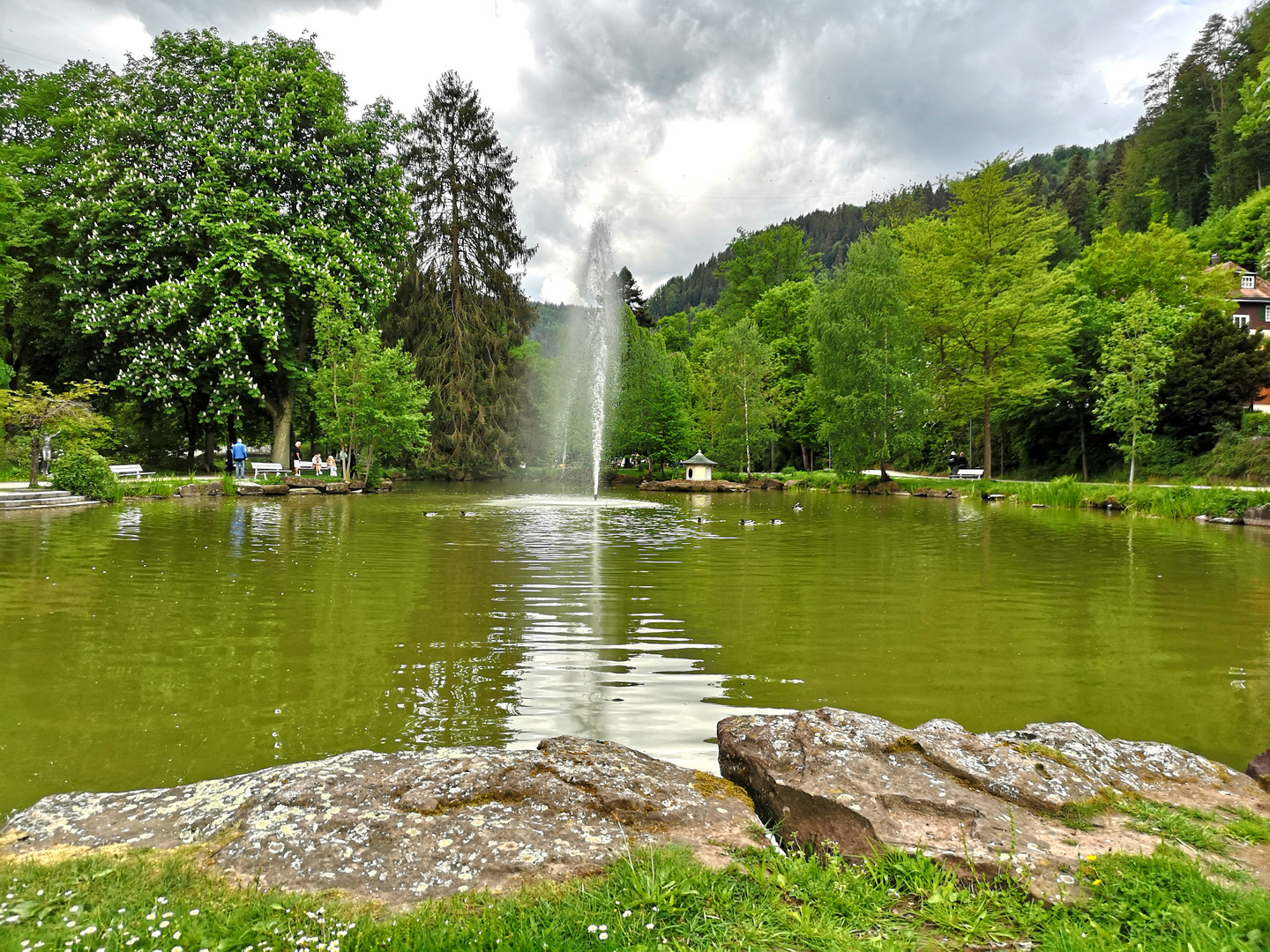 Kurpark-See Bad Liebenzell