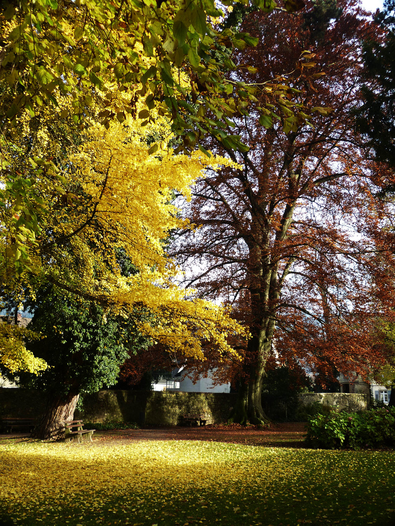 Kurpark Sulzburg 6