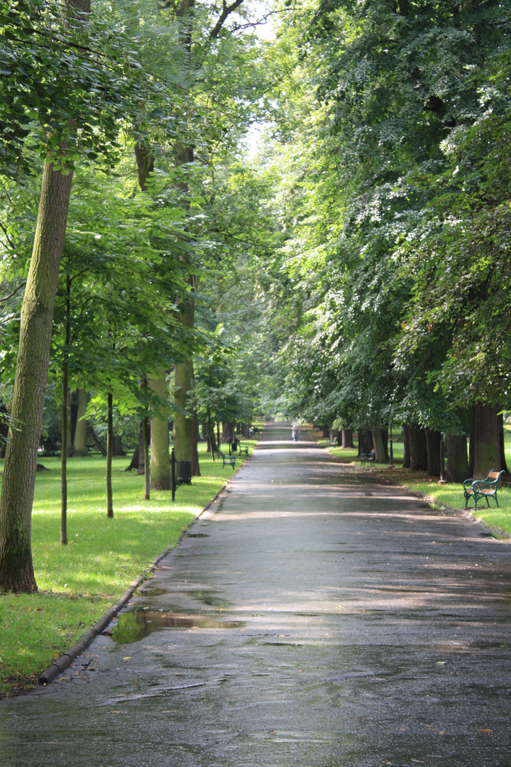 Kurpark Teplice