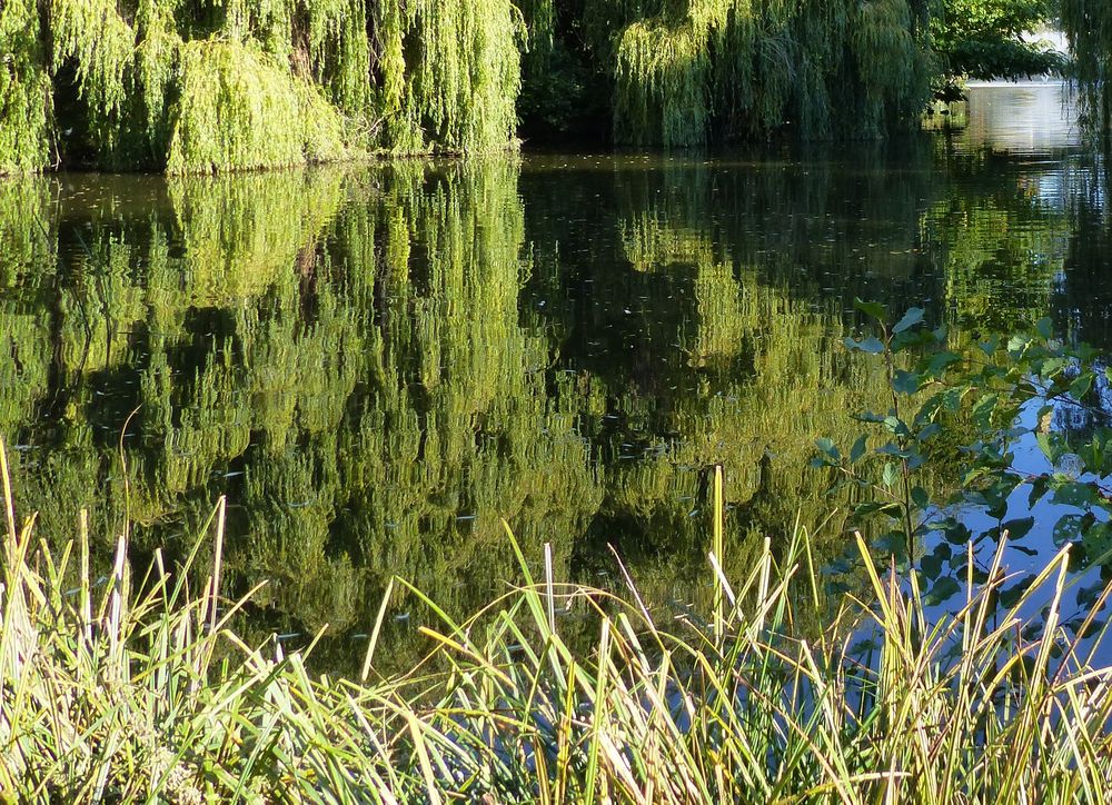 Kurpark Timmendorfer Strand