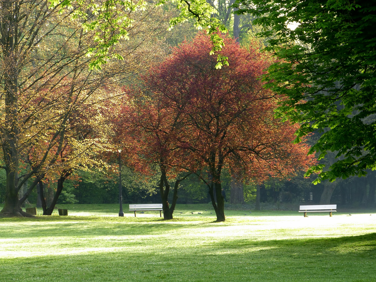 Kurpark Wiesbaden