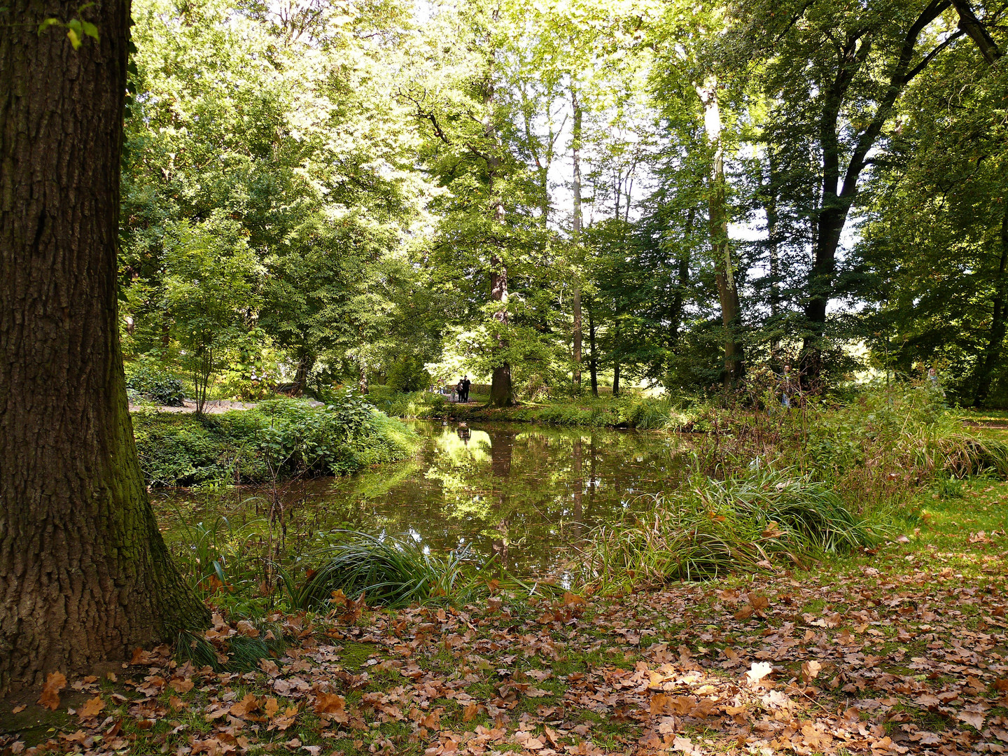 Kurpark Wilhelmsbad