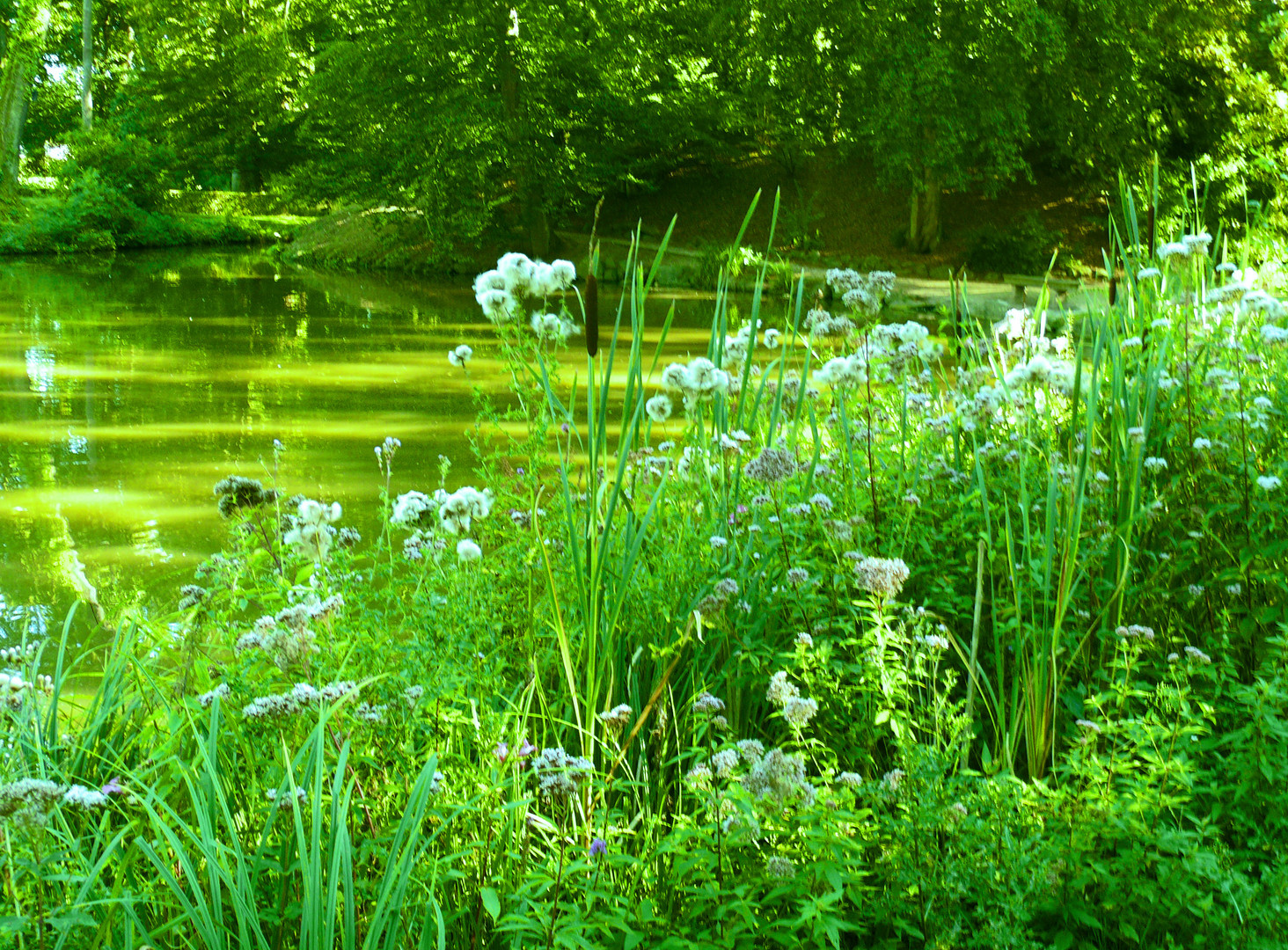 Kurpark Wilhelmsbad