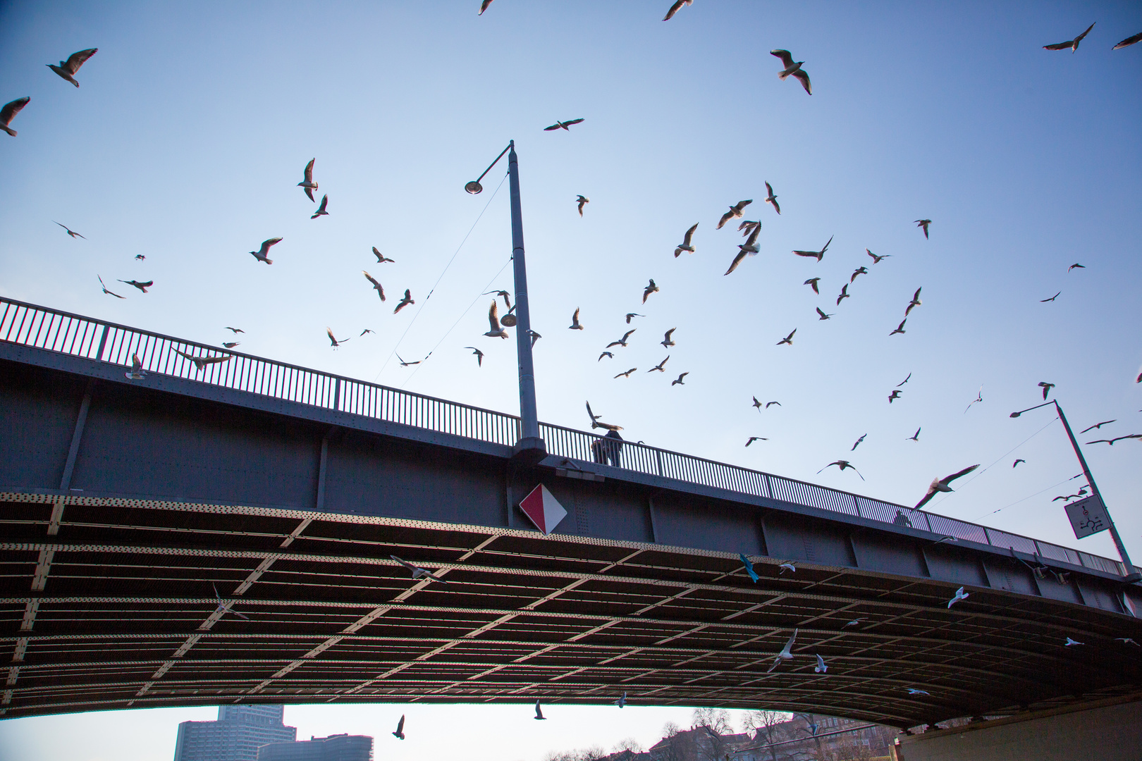 Kurpfalzbrücke (Neckar) Mannheim