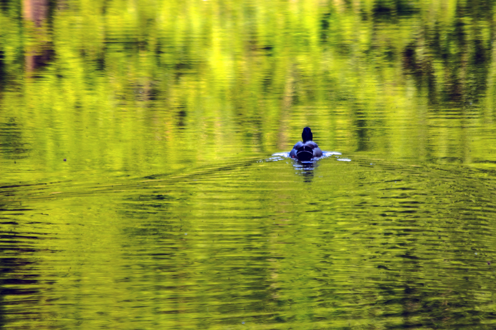 Kurs in´s Blaue (hmmm, wirklich in´s Blaue??)