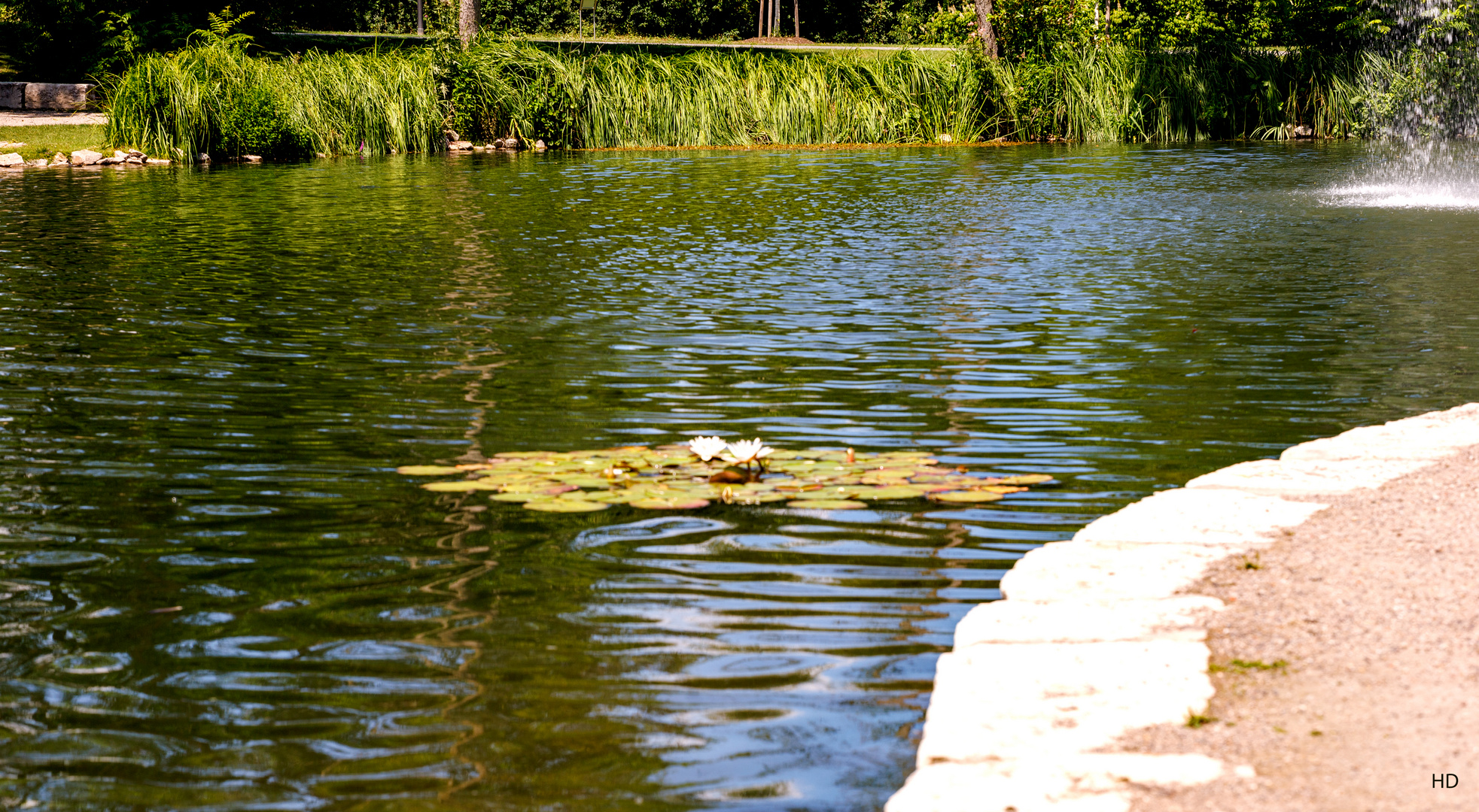 Kursee im Sole-Aktiv-Park 