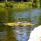 Kursee im Sole-Aktiv-Park 