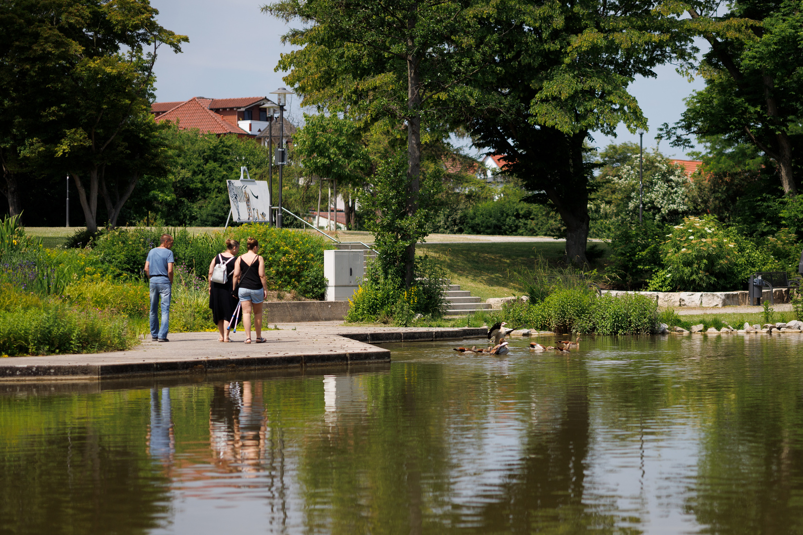 Kursee im Sole-Aktiv-Park