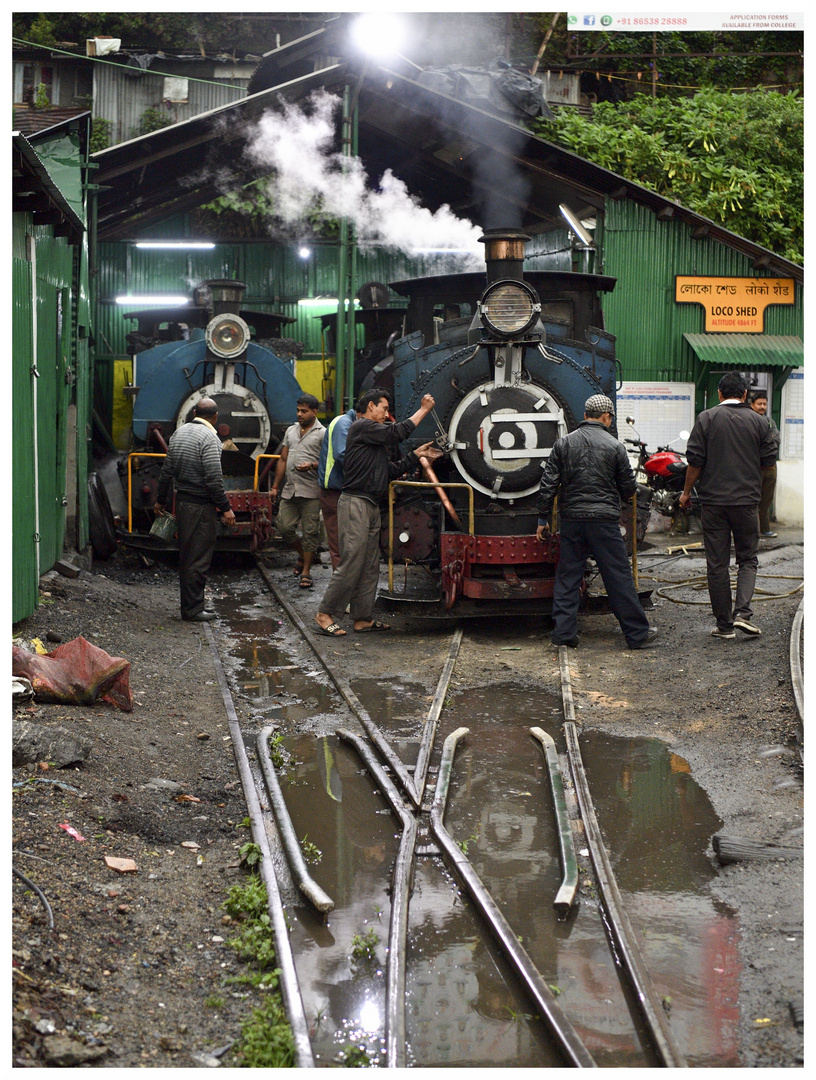 Kurseong am Morgen IV