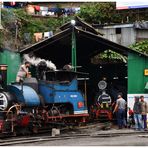 Kurseong am Morgen IX