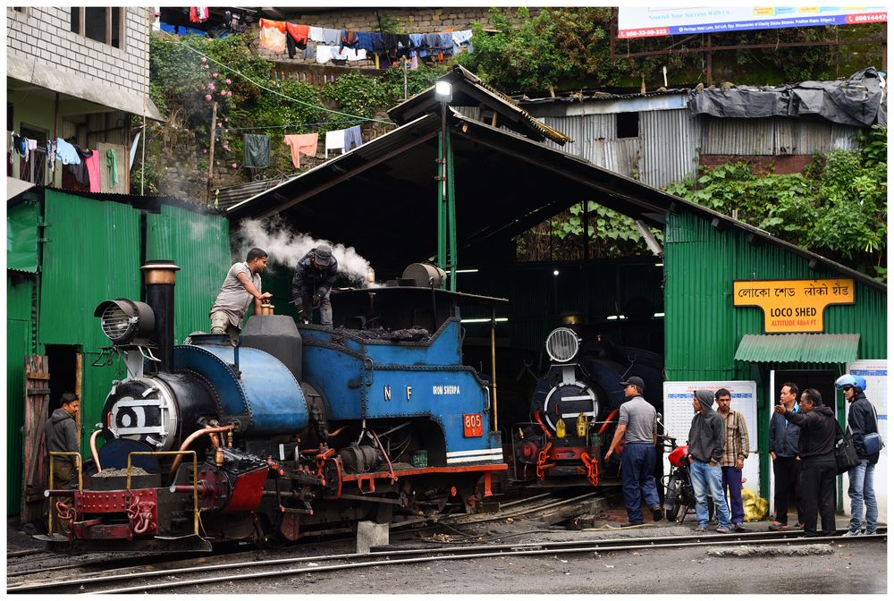 Kurseong am Morgen IX