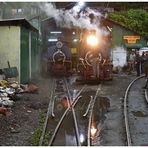 Kurseong am Morgen V