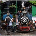 Kurseong am Morgen VII