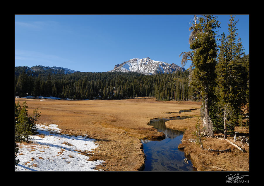 Kurven vor Schnee