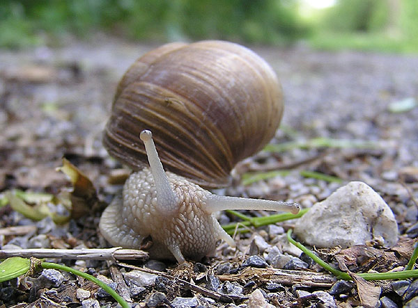 Kurvenfahrt bei hoher Geschwindigkeit