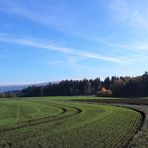 Kurvenreich  ins Fichtelgebirge 6.11.18