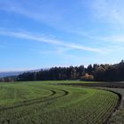 Kurvenreich  ins Fichtelgebirge 6.11.18