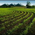 Kurvenreiche Landschaft...