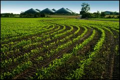 Kurvenreiche Landschaft...