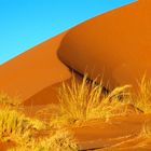 Kurvenschablone, morgens in der SossusVlei.