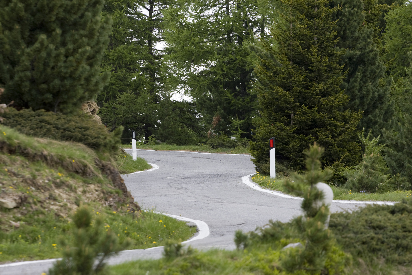 Kurvenspass im Grünen