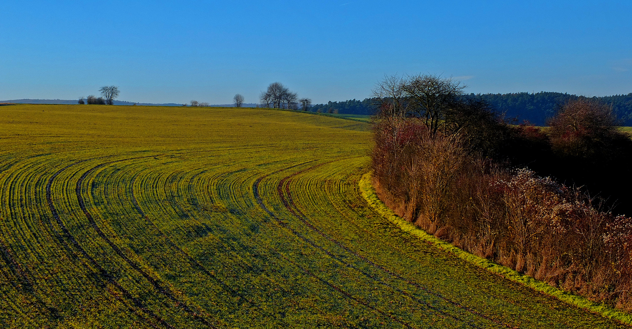 kurvige Landschaft