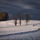 Kurviger Feldweg