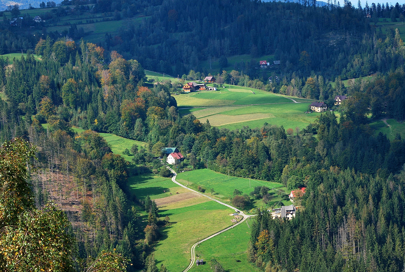 Kurviger Weg in Beskid Slaski (Polen)