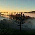 Kurz bevor die Sonne in den Nebel taucht