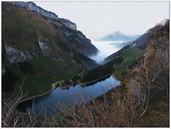 kurz bevor sich Nebelmeer und Bergsee vereinen....