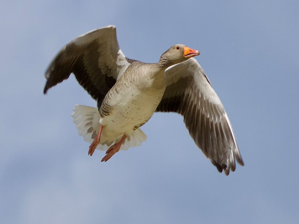 Kurz kam die Sonne raus und ich fand mein Motiv.......