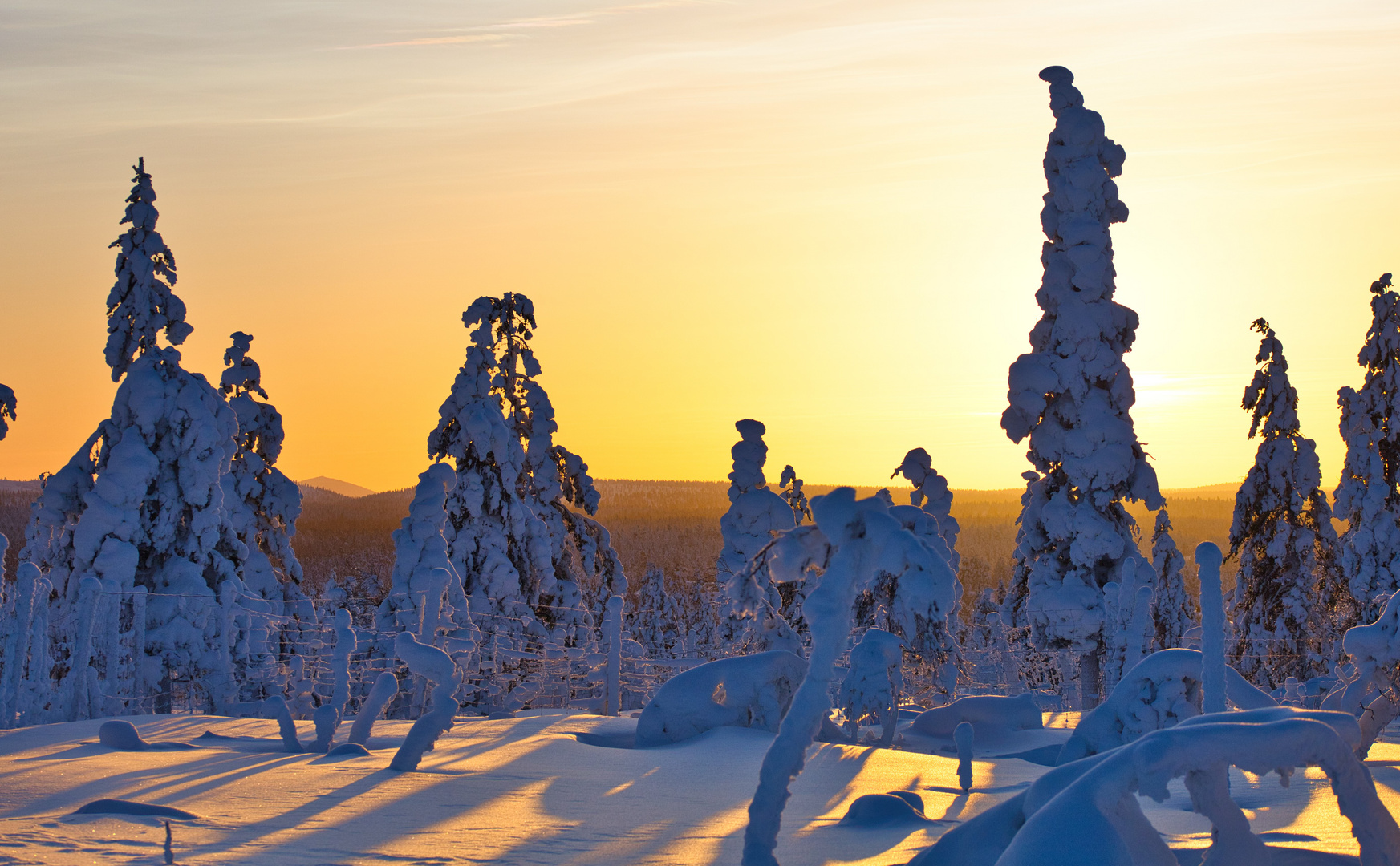 Kurz mal die Sonne in der Polarnacht / Finnland