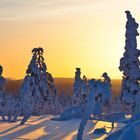 Kurz mal die Sonne in der Polarnacht / Finnland