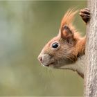 kurz mal um die Ecke gucken .....