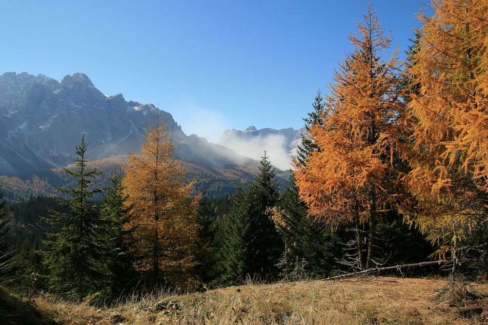 Kurz nach dem Bergsturz