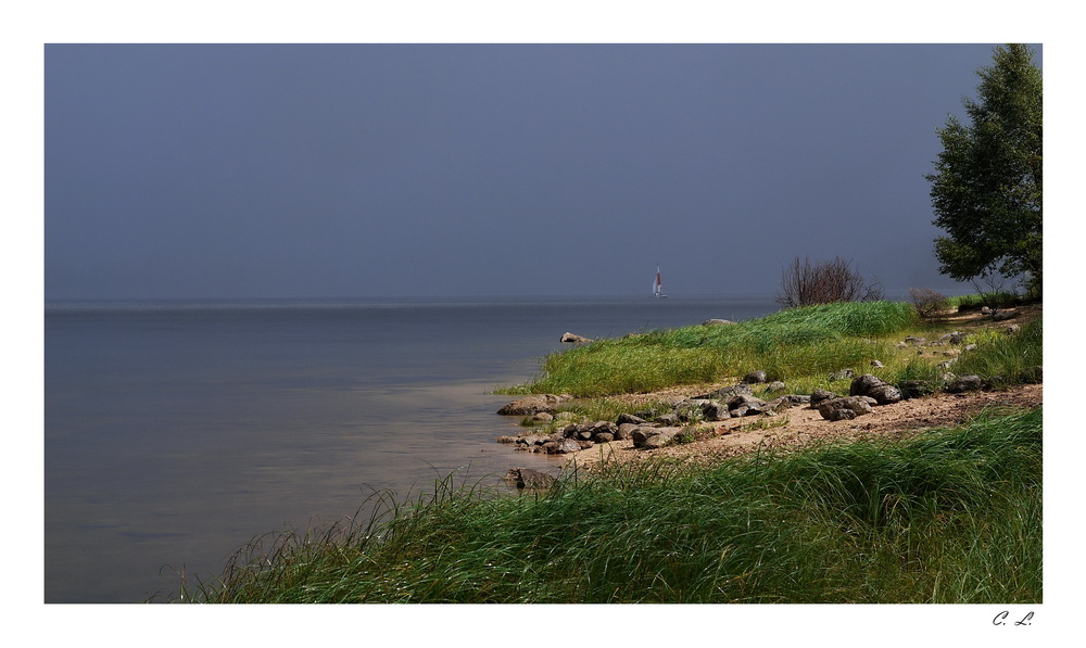 Kurz nach dem Regen