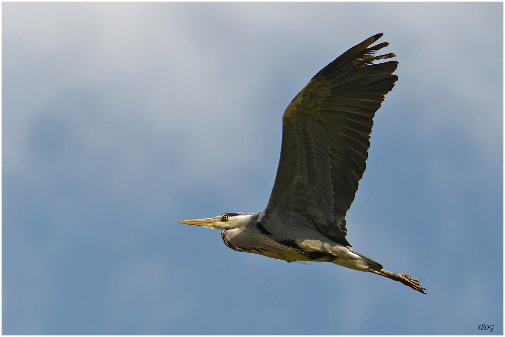 Kurz nach dem Storch ...