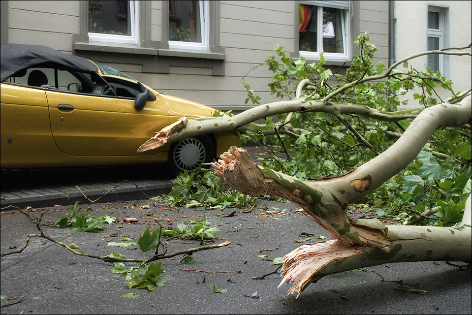 Kurz nach dem Sturm