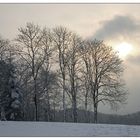 Kurz nach Sonnenaufgang