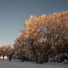 Kurz nach Sonnenaufgang