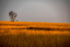 kurz nach Sonnenaufgang