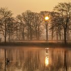 Kurz nach Sonnenaufgang am See bei Melle