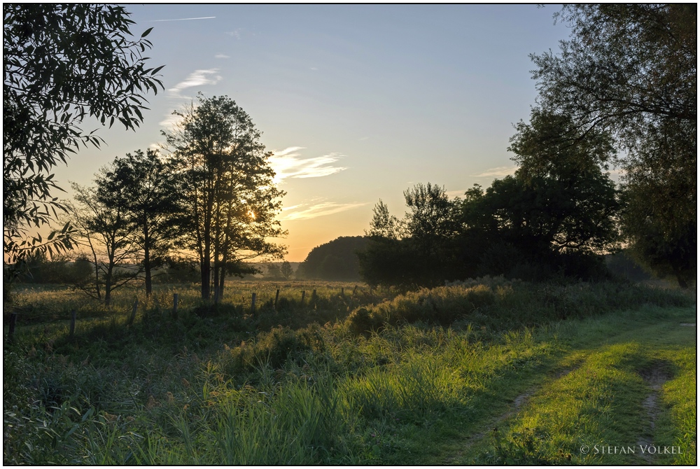 Kurz nach Sonnenaufgang an den Teichen