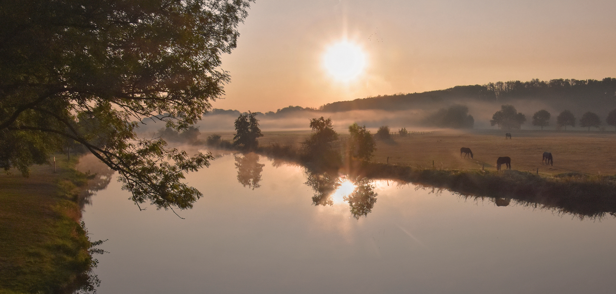 Kurz nach Sonnenaufgang an der  Ruhr.....